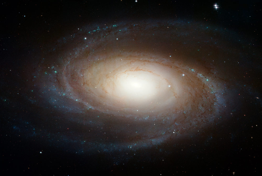 NGC3031 (M81) - Bode's Galaxy