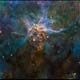 -> Embryonic Stars in the Carina Nebula
