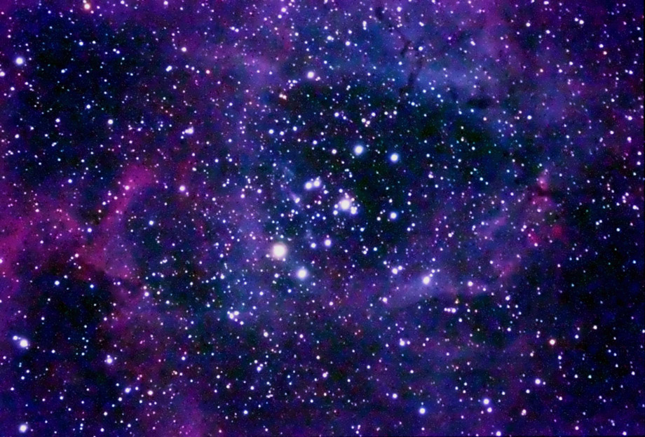  [Nebulosa Rosette alrededor de NGC 2244] 